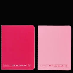 A6 notebooks (set of 2) - Pinks