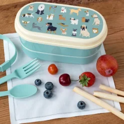 Children's bento box - Best in Show