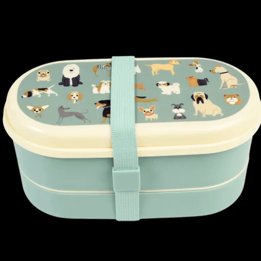 Children's bento box - Best in Show