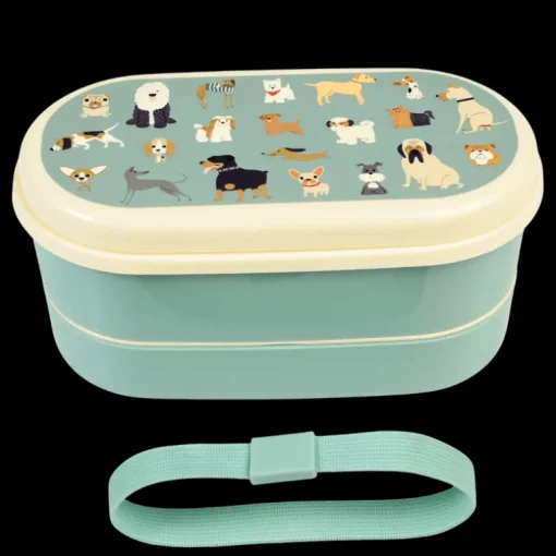 Children's bento box - Best in Show