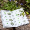 Children's Journal - Nature Trail