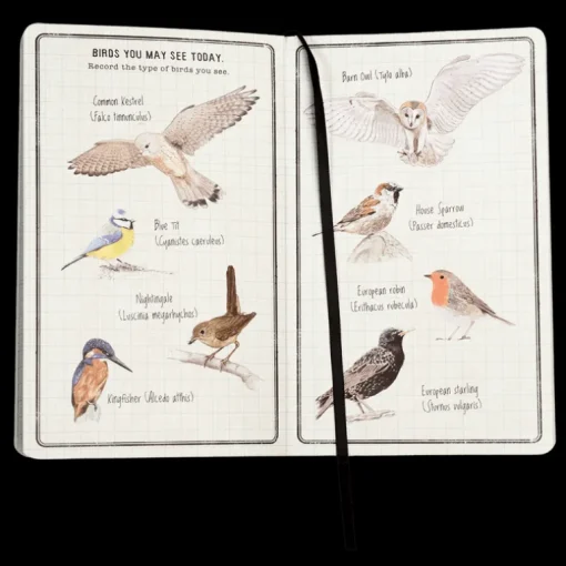 Children's Journal - Nature Trail