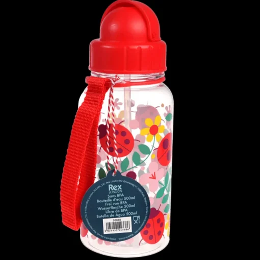 Children's water bottle with straw 500ml - Ladybird