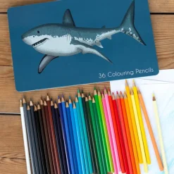 36 colouring pencils in a tin - Sharks