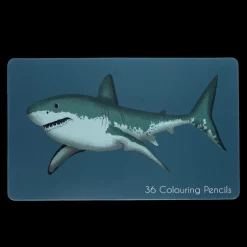 36 colouring pencils in a tin - Sharks