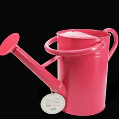 Galvanised steel watering can 4.5L - Red