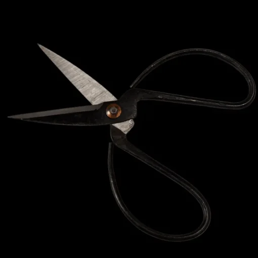 Gardener's scissors - Your Garden