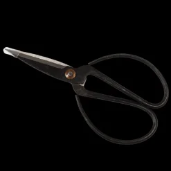 Gardener's scissors - Your Garden