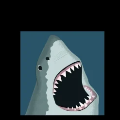 Greetings card - Shark
