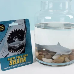 Grow your own shark