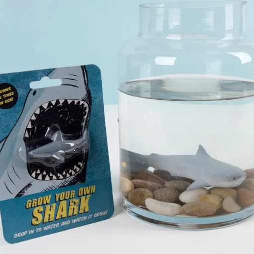 Grow your own shark