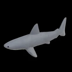 Grow your own shark