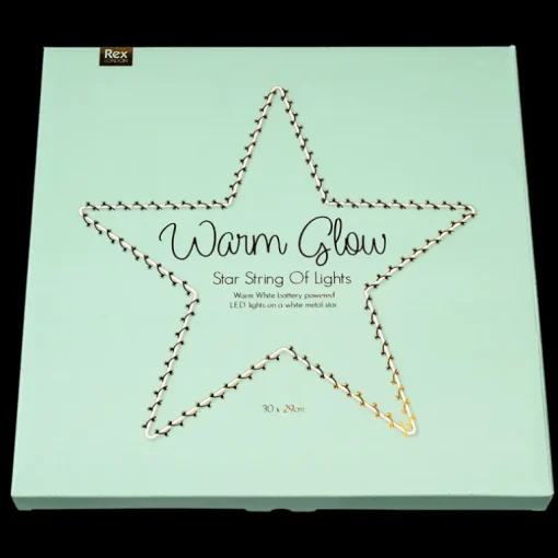 Metal star LED light - 30cm