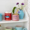 Mini storage tins (set of 2) - Fish MACKEREL & ANCHOVIES