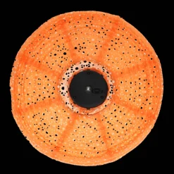 Outdoor solar UFO lantern - Orange