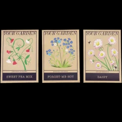 Pack of flower seeds - Your Garden (assorted - SINGLE)