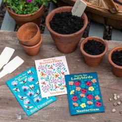 Pack of flower seeds (assorted - SINGLE)