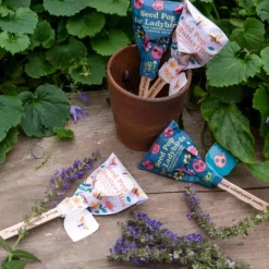 Seed pops - Wildflower seeds (assorted - SINGLE)