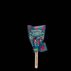 Seed pops - Wildflower seeds (assorted - SINGLE)