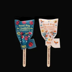 Seed pops - Wildflower seeds (assorted - SINGLE)