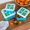 Snack boxes (set of 3) - Blue and Green Daisy