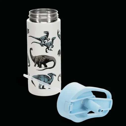 Stainless steel bottle with push button lid 500ml - Dinosaur