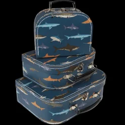 Storage cases (set of 3) - Sharks