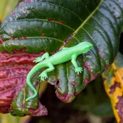 Super stretchy gecko (assorted - SINGLE)