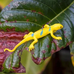 Super stretchy gecko (assorted - SINGLE)