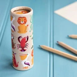 Tube of colouring pencils - Colourful Creatures