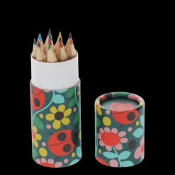 Tube of colouring pencils - Ladybird