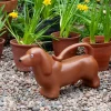 Watering can (2 ltr) - Sausage Dog